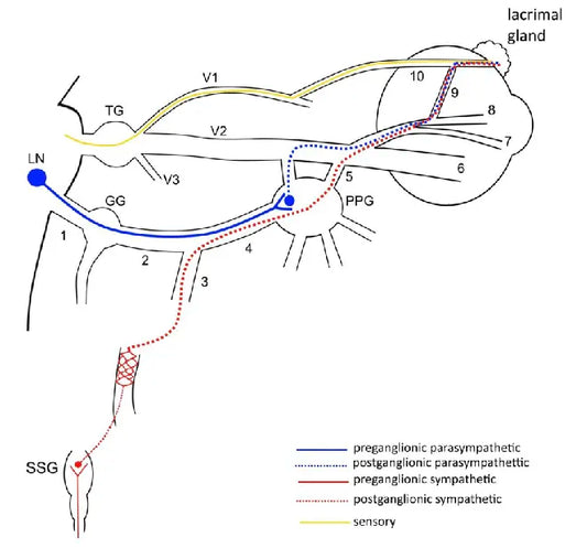 Neurological Dry Eye